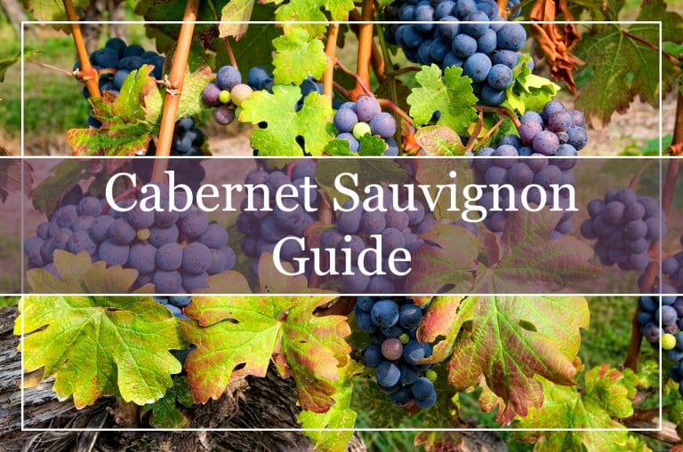 Your Essential Guide to Sauvignon Wine WinePros