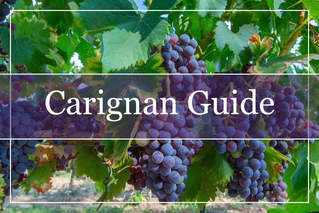 Carignan Grapes