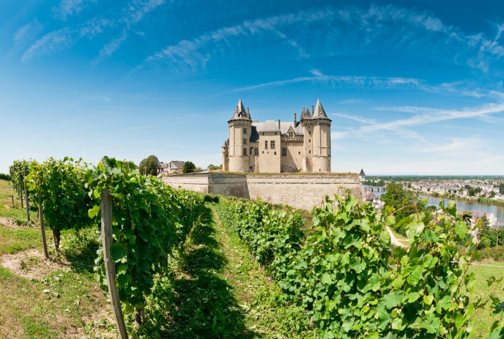 your-complete-chenin-blanc-wine-guide-winepros