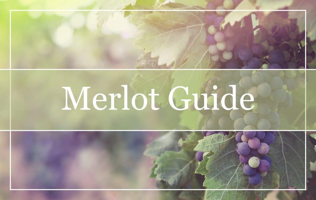 Merlot Grapes