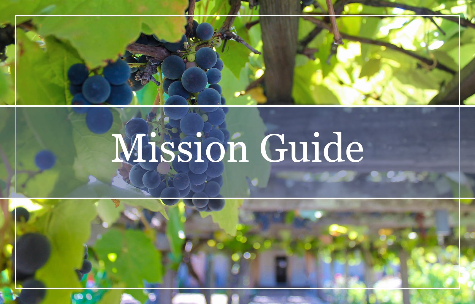 Mission Grapes