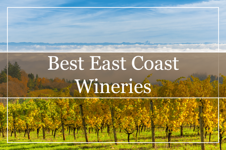 10 Best East Coast Wineries According to Us WinePros