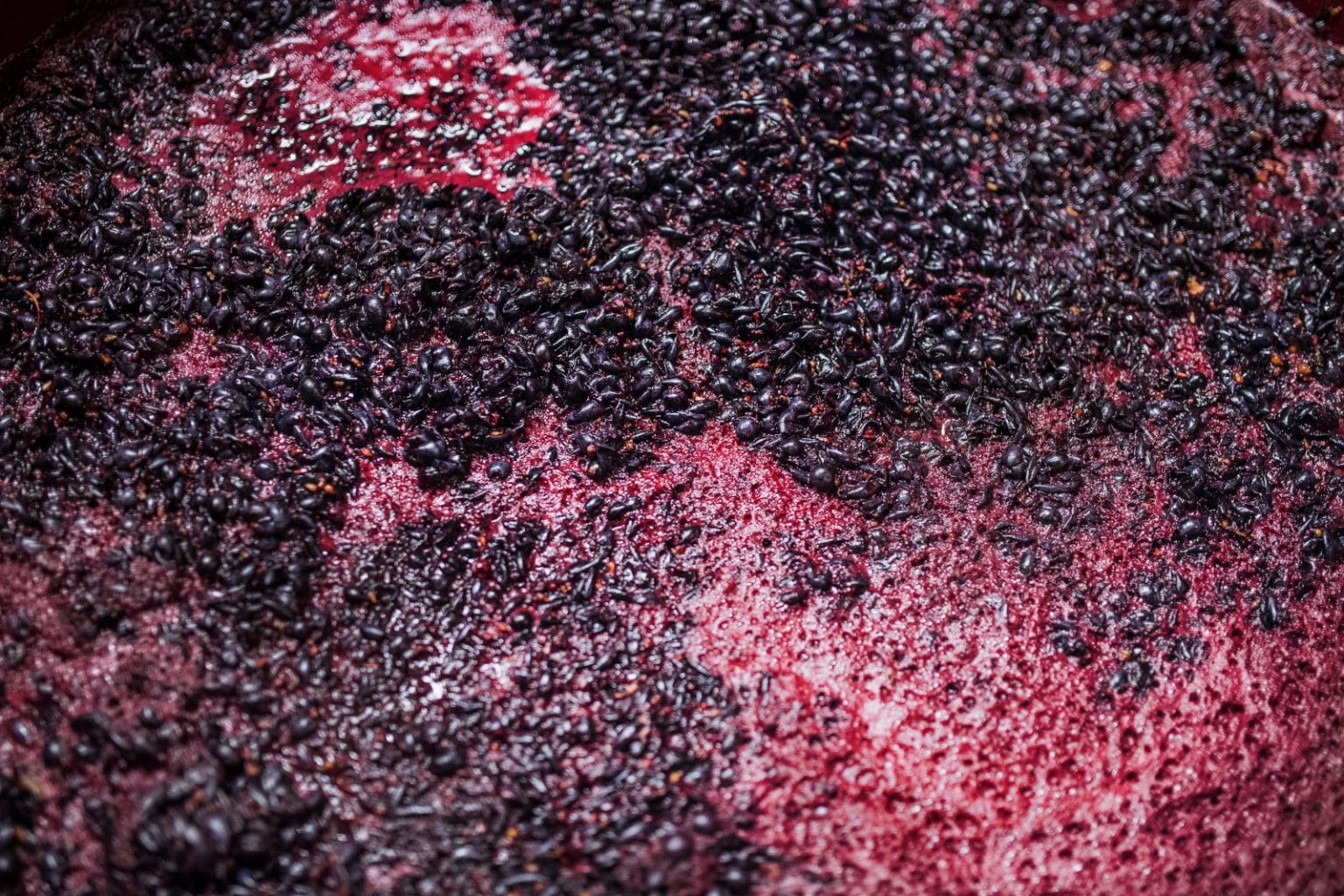 A Brief History of Wine (2022) WinePros
