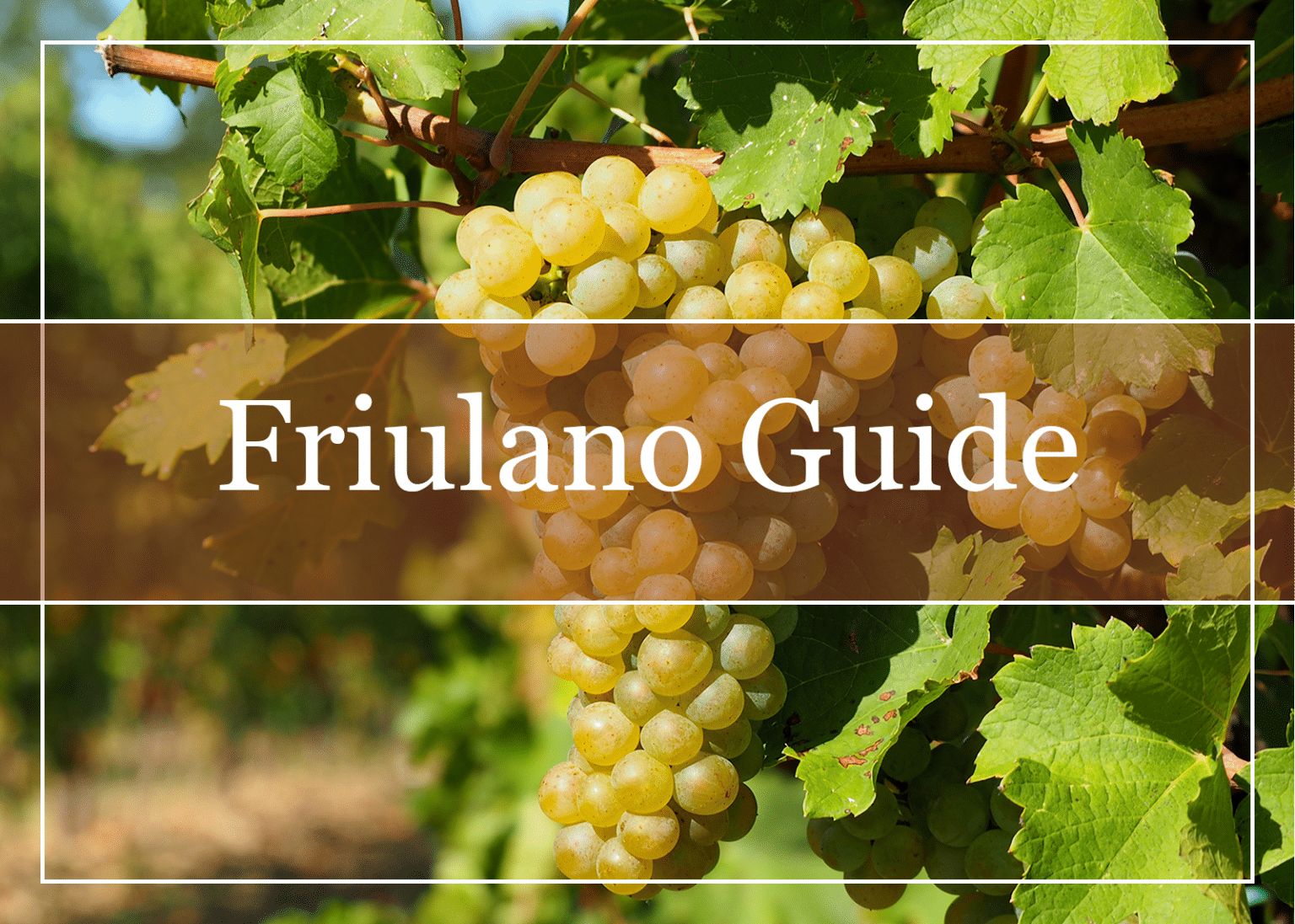 Your Essential Guide to Friulano Wine WinePros Your Essential Guide to Friulano Wine WinePros