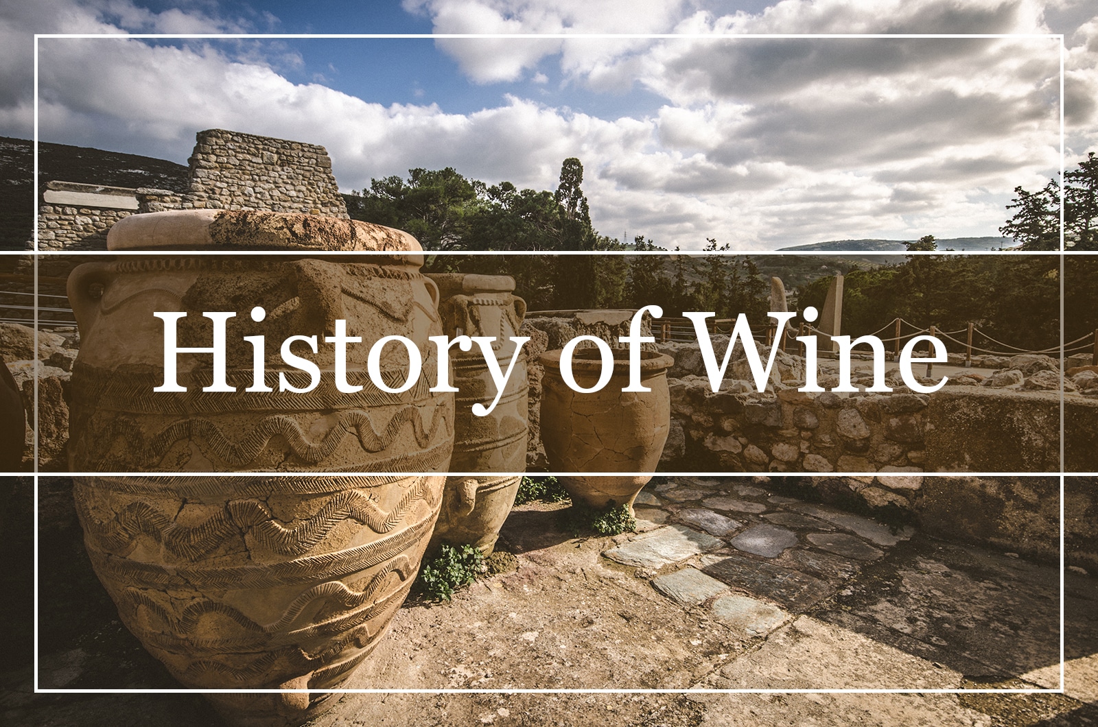 A Brief History of Wine (2022)