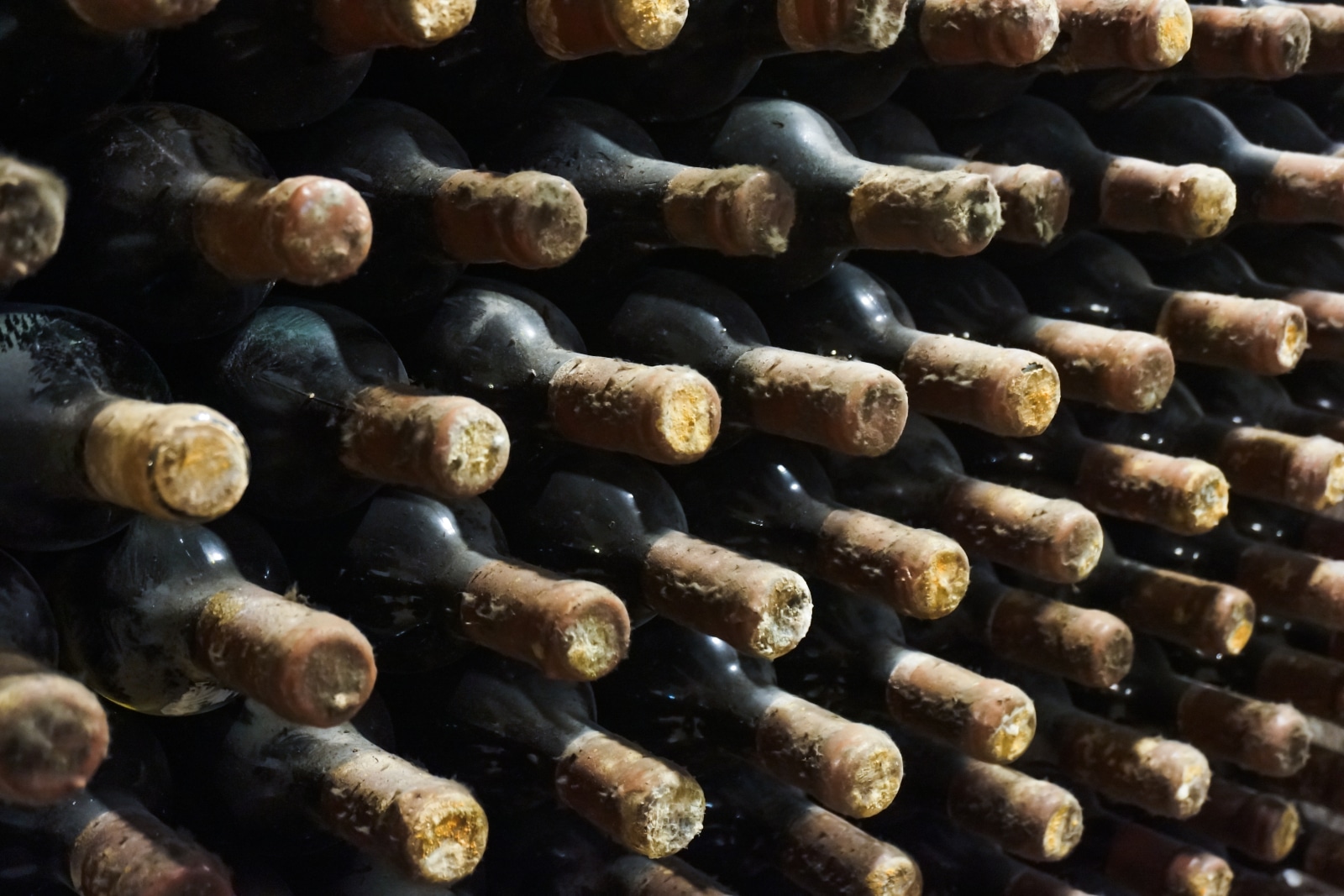 Old Wine Bottles in Cellar