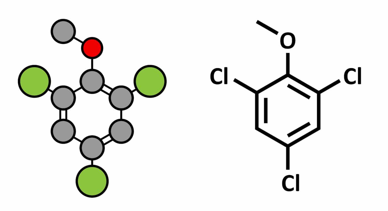 What Is Cork Taint and How to Recognize It? (2022) WinePros