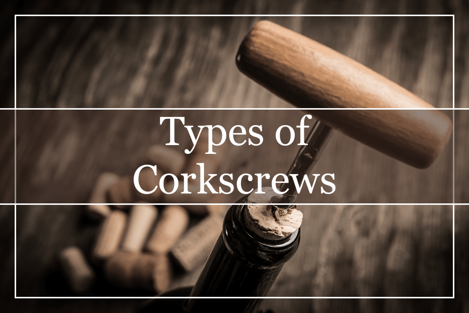 10 Types of Corkscrews Every Wine Lover Should Know (2022) WinePros