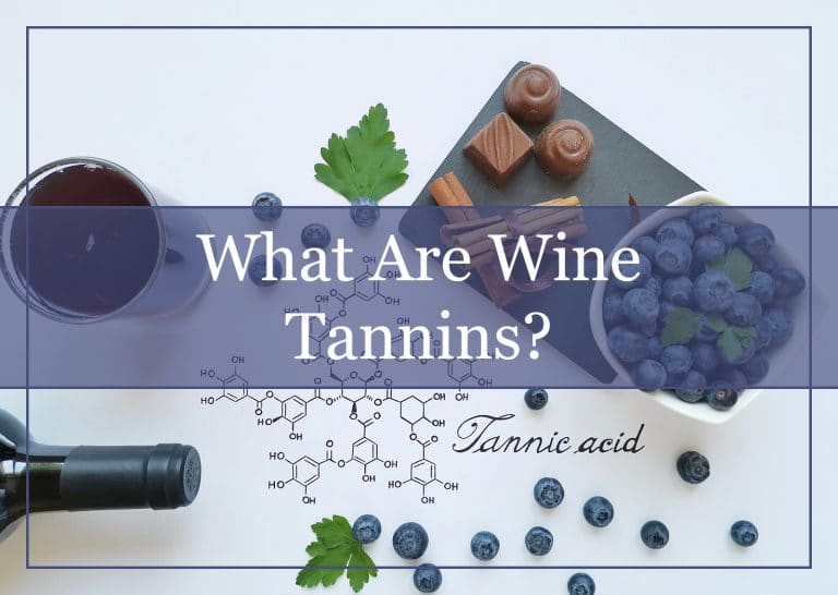 What Are Wine Tannins? (2023) WinePros