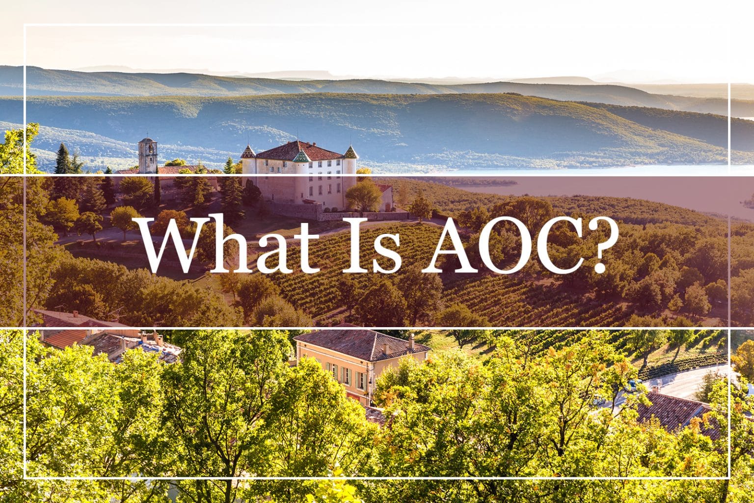 What Is AOC? Appellation D'origine Contrôlée? (2023) WinePros