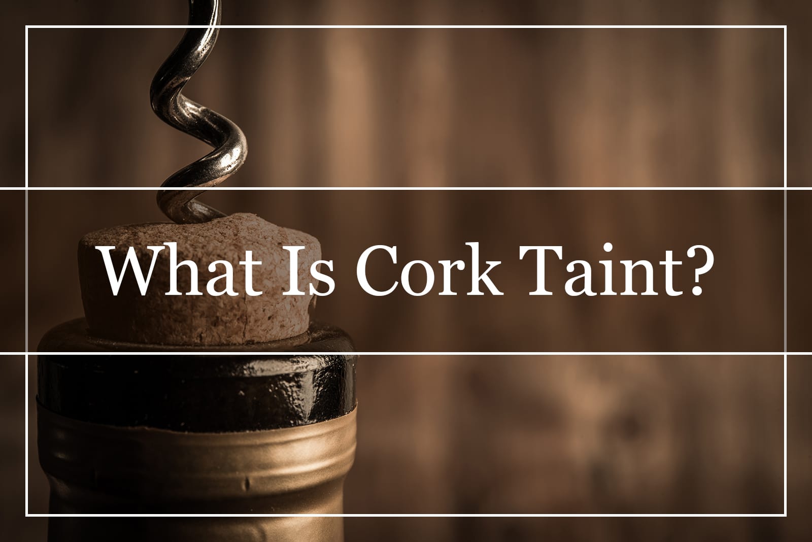 What Is Cork Taint and How to Recognize It?