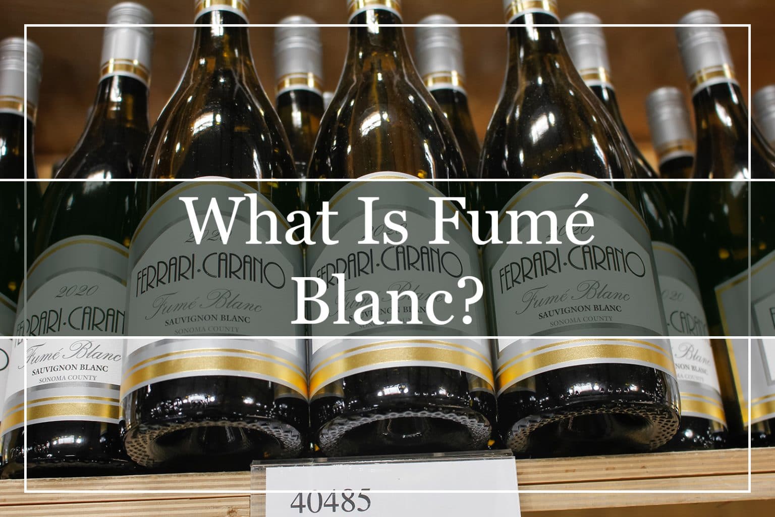 What Is Fumé Blanc Wine? WinePros