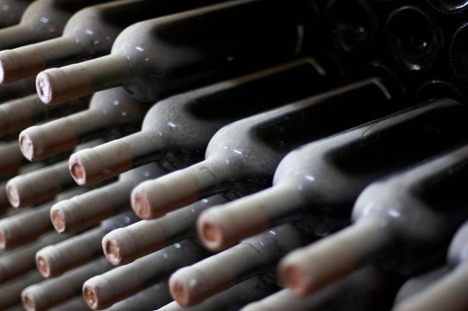 Wine Bottles in a Wine Cellar