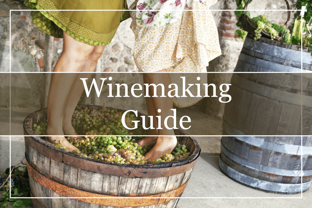Winemaking Guide Enology