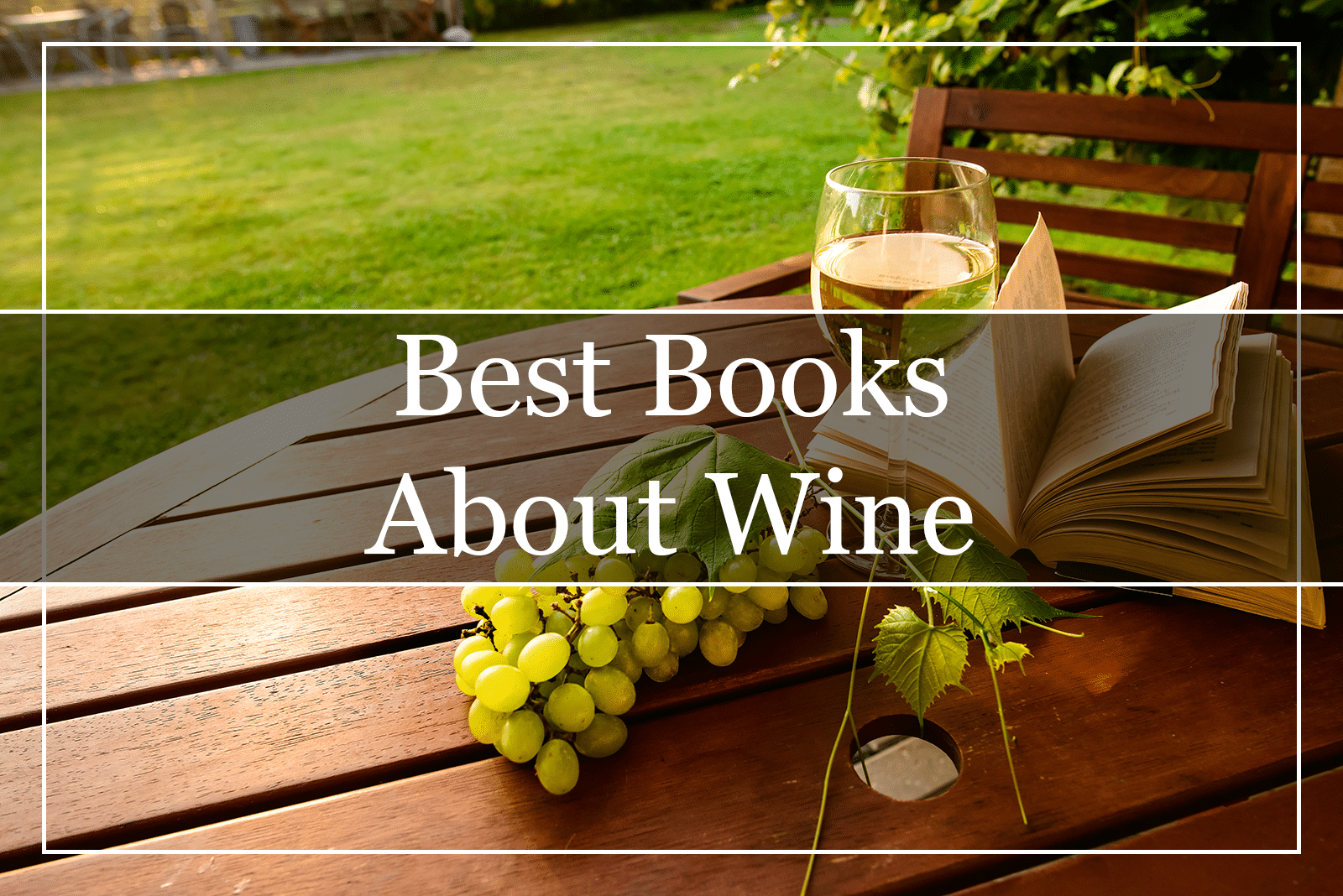 10 Best Books About Wine Ever