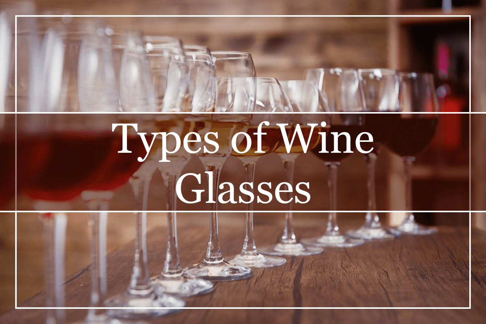 Types Of Wine Glasses – Your Essential Guide (2022)