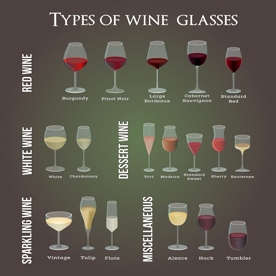 Various Types of Wine Glasses