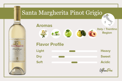 Santa Margherita Pinot Grigio Review - Valdadige (2022)