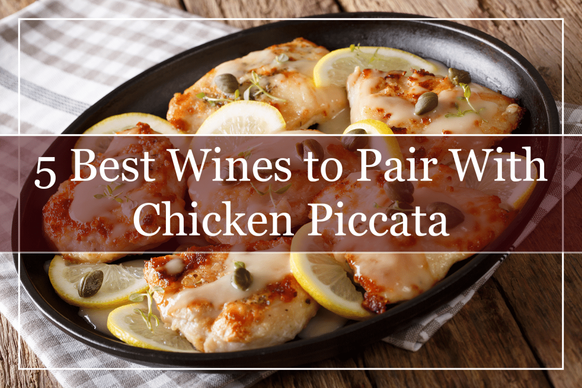 5 Best Wines to Pair With Chicken Parmesan (2023) MustTry