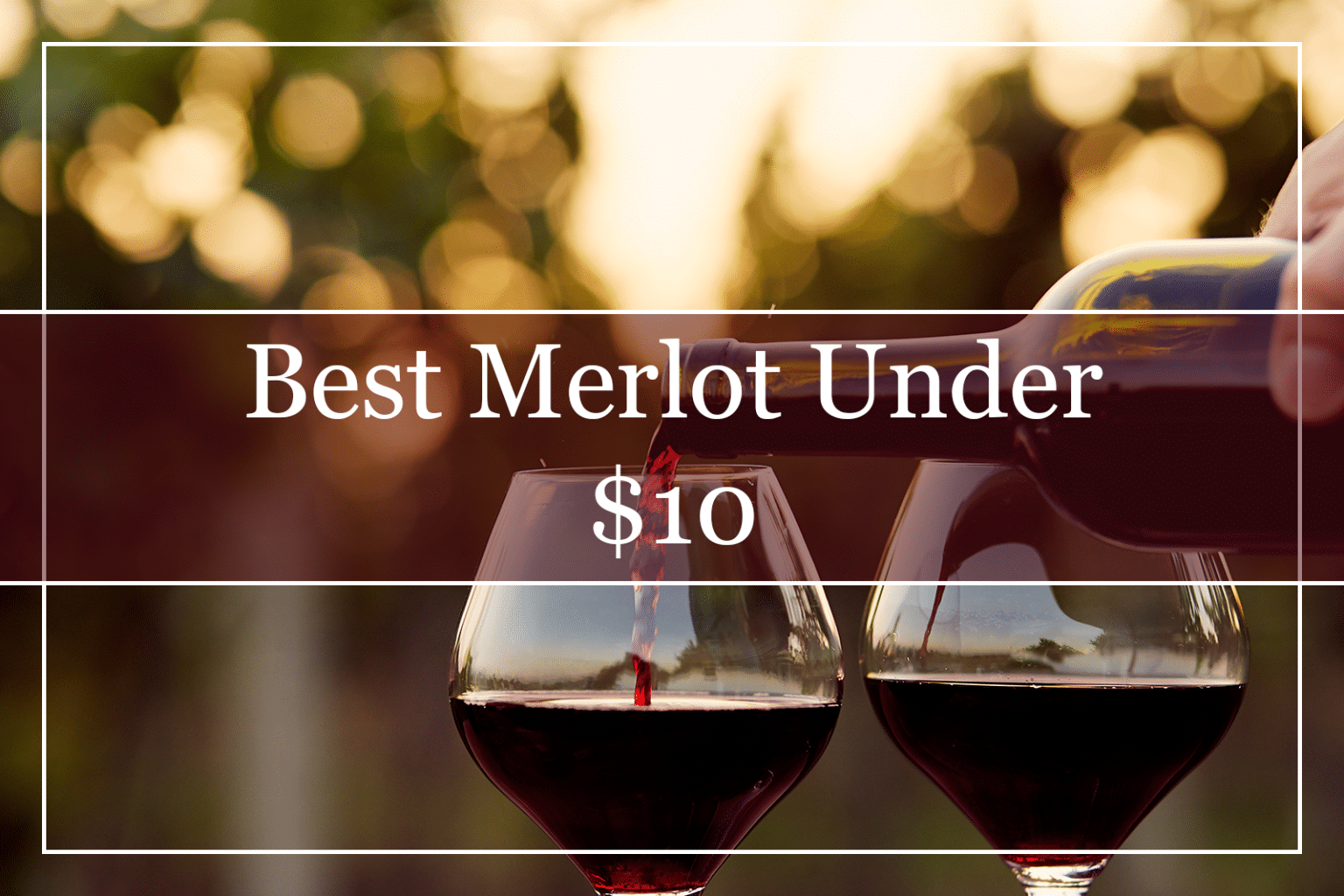 10 Best Merlot Wines Under 15 (2022) That You'll Love!