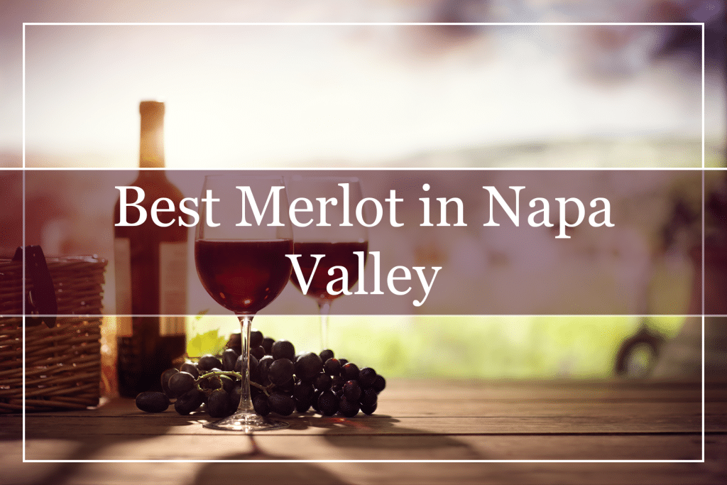 Best Merlot in Napa Valley Featured