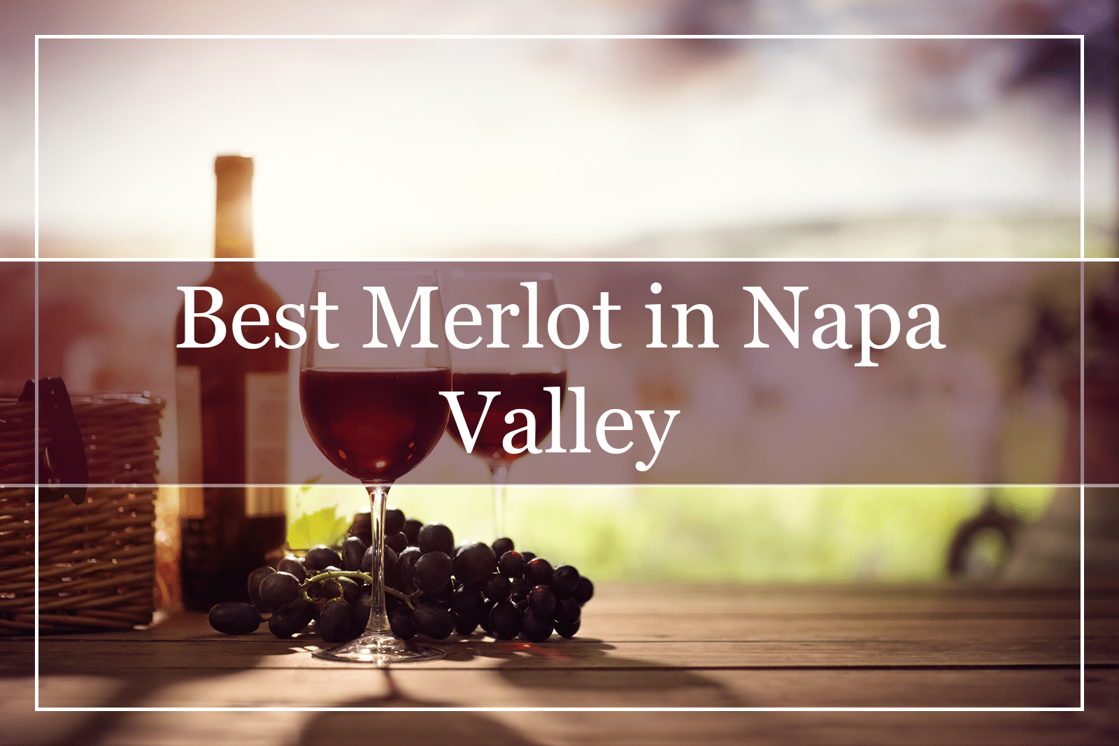 10 Best Merlot Wines in the Napa Valley (2021)