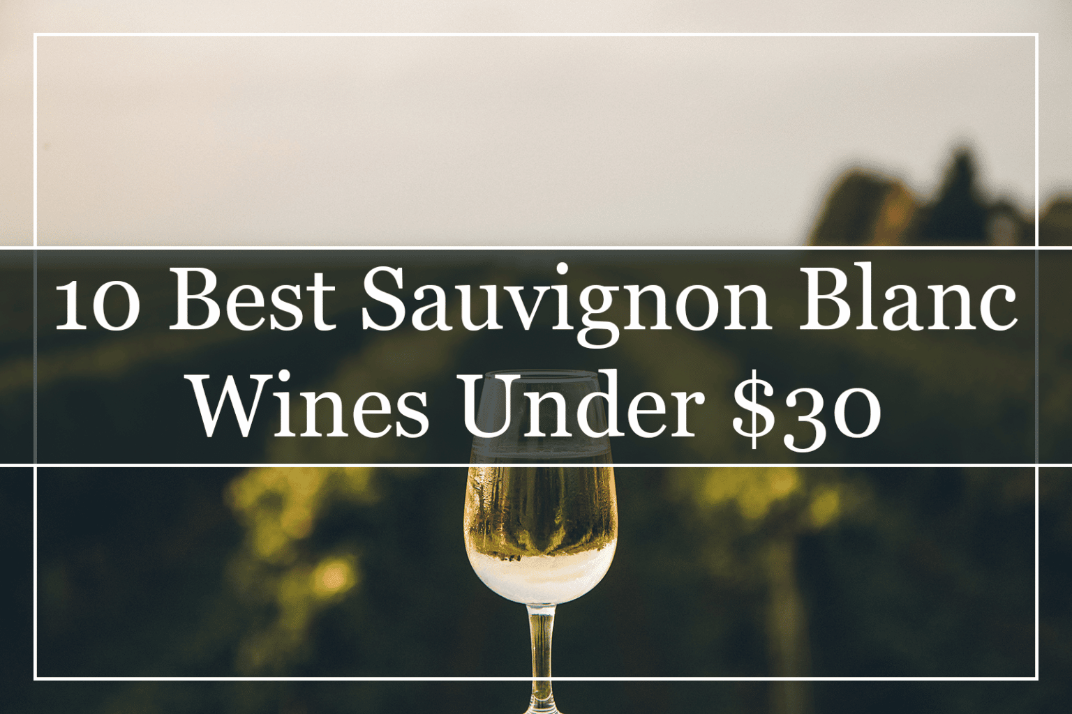 10 Best New Zealand Sauvignon Blanc Wines (2023) Must Try!