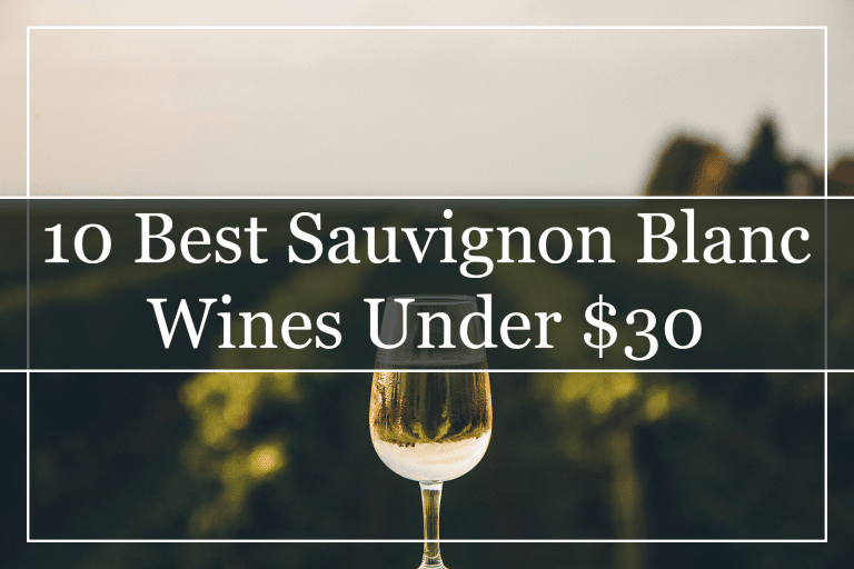 10 Best New Zealand Sauvignon Blanc Wines (2023) Must Try!