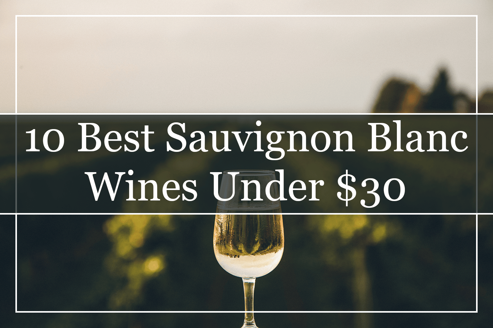 10 Best Sauvignon Blanc Wines Under $30 (2022)