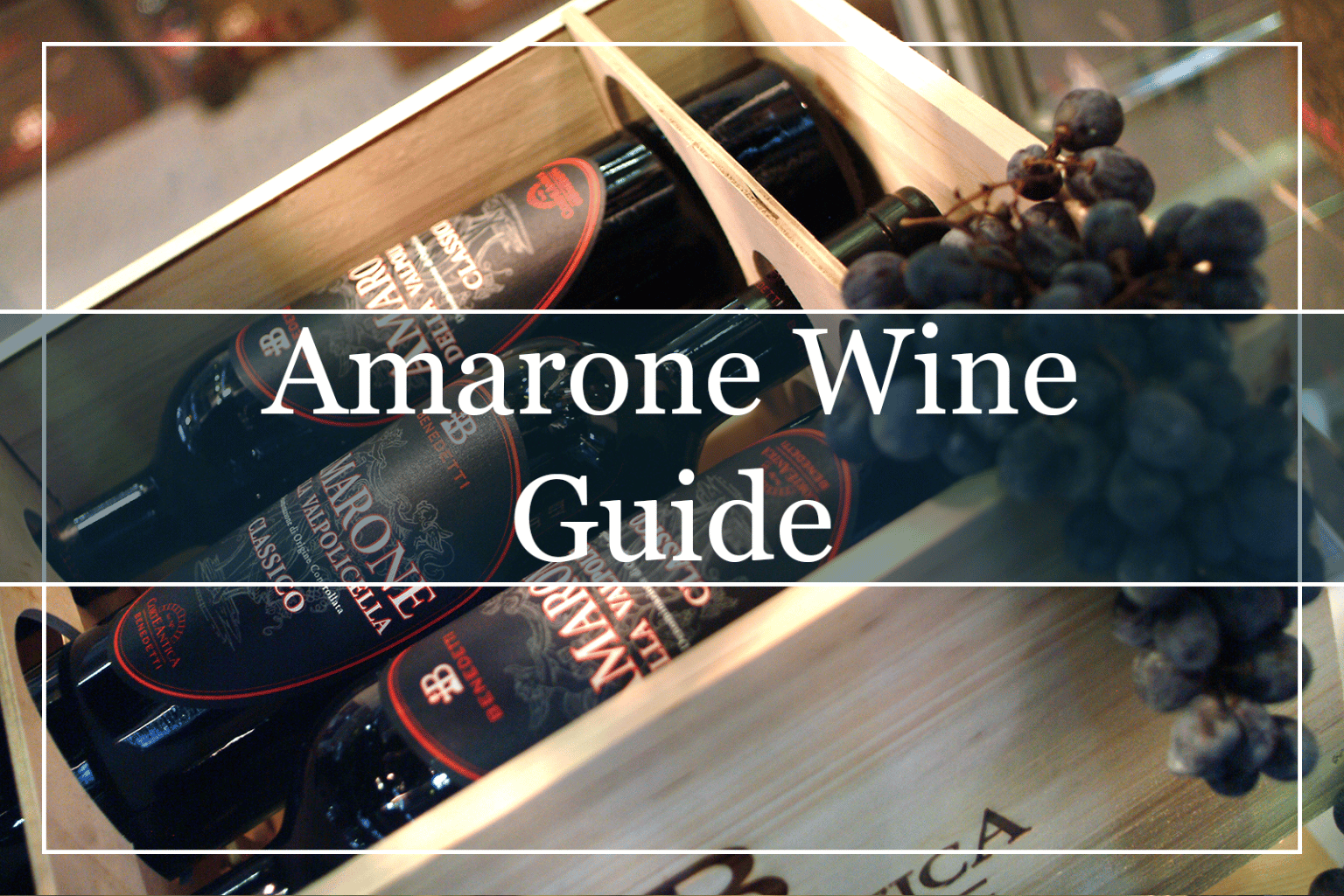 Your Essential Guide to Amarone Wine (2023) WinePros