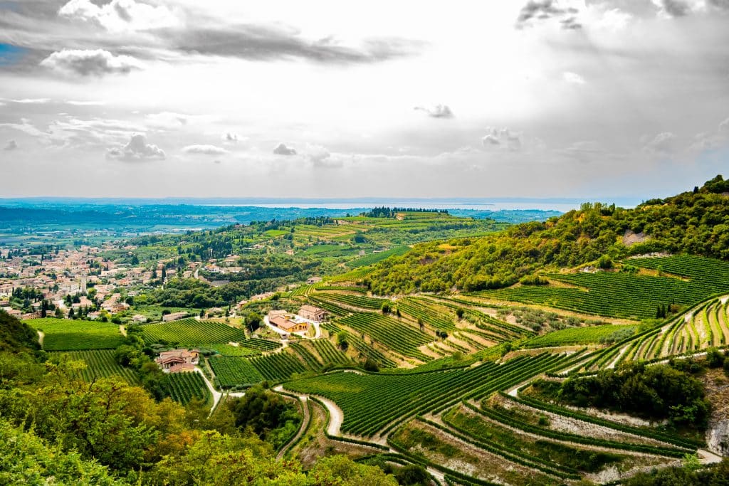 Where does amarone come from