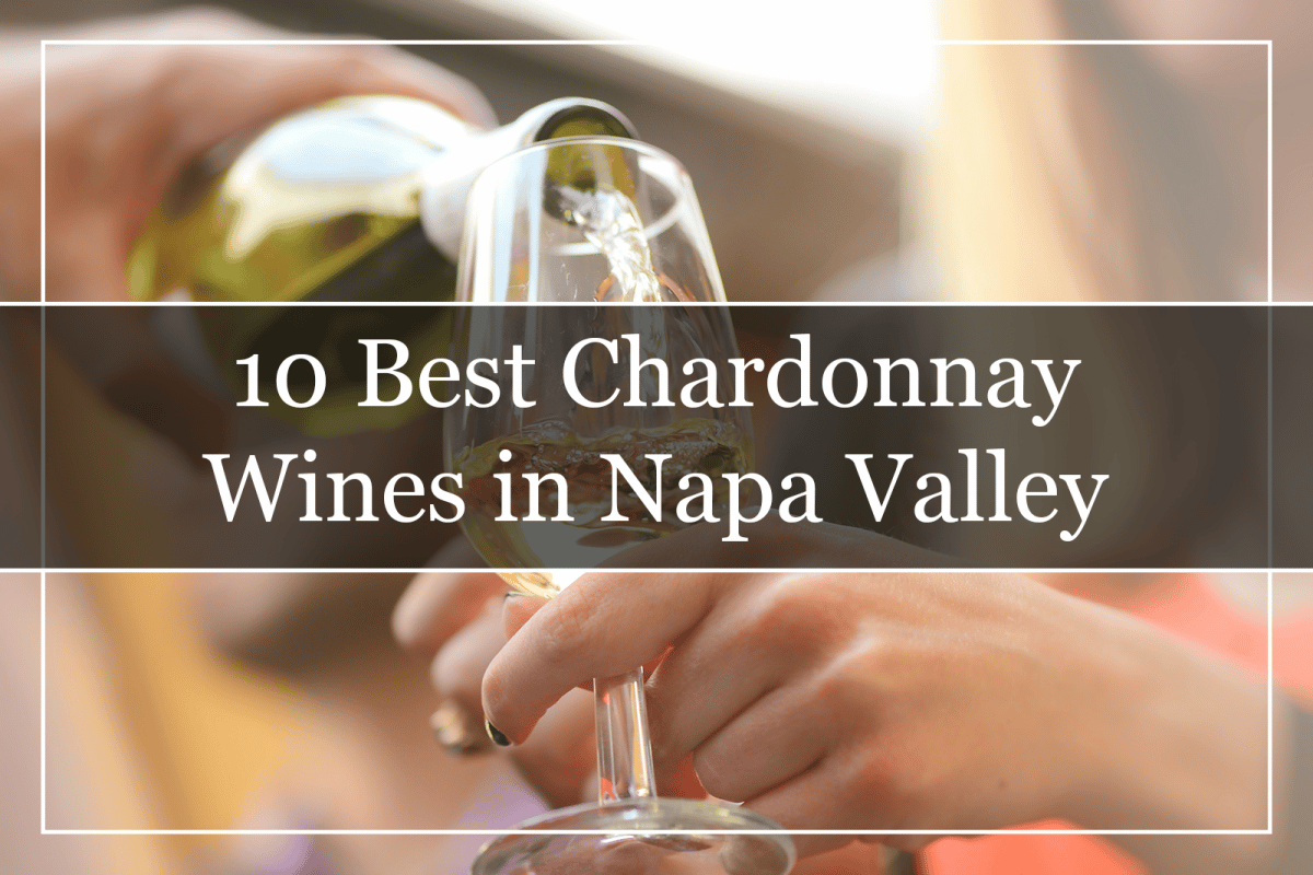 10 Best Pinot Grigio Wines Under 20 (2022) You Must Try!