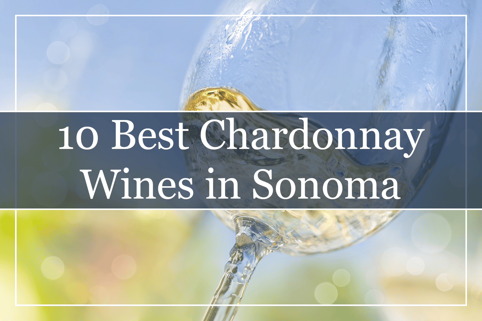 10 Best Chardonnay Wines in Sonoma (2022)