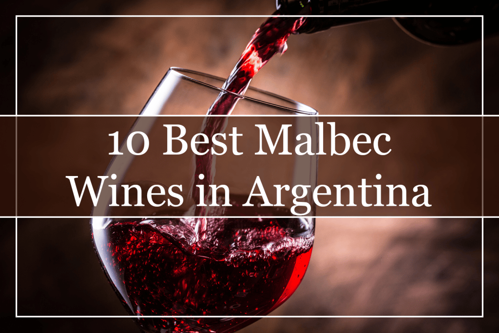 10 Best Malbec Wines in Argentina Featured