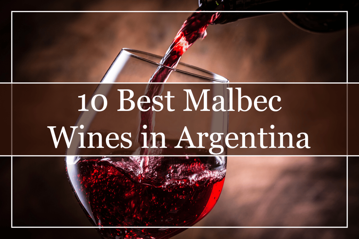 10 Best Malbec Wines From Argentina (2023) You Must Try!