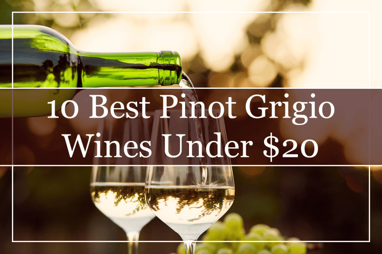 10 Best Pinot Grigio Wines Under 20 (2023) You Must Try!
