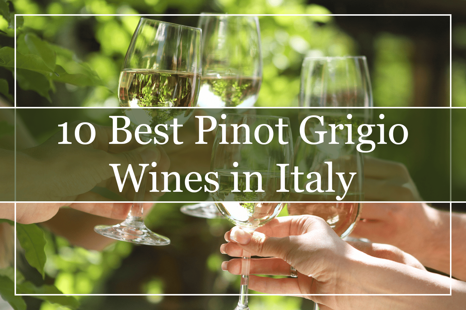 10 Best Pinot Grigio Wines From Italy (2022)