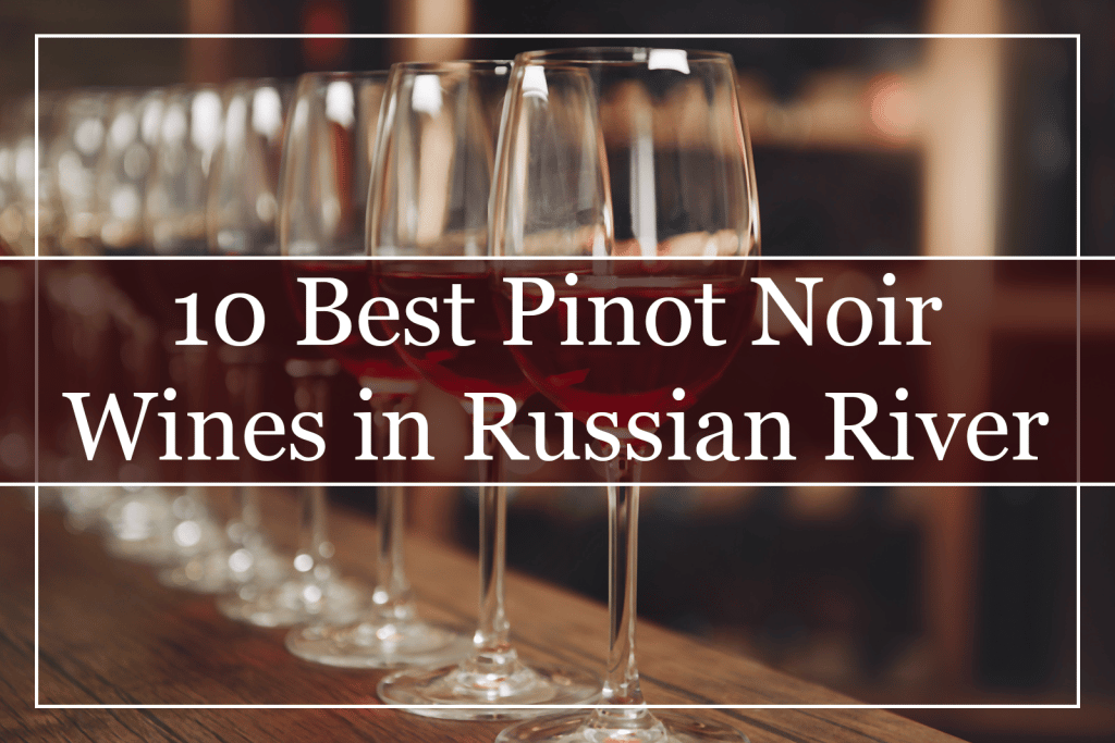 10 Best Pinot Noir Wines in Russian River Valley Featured