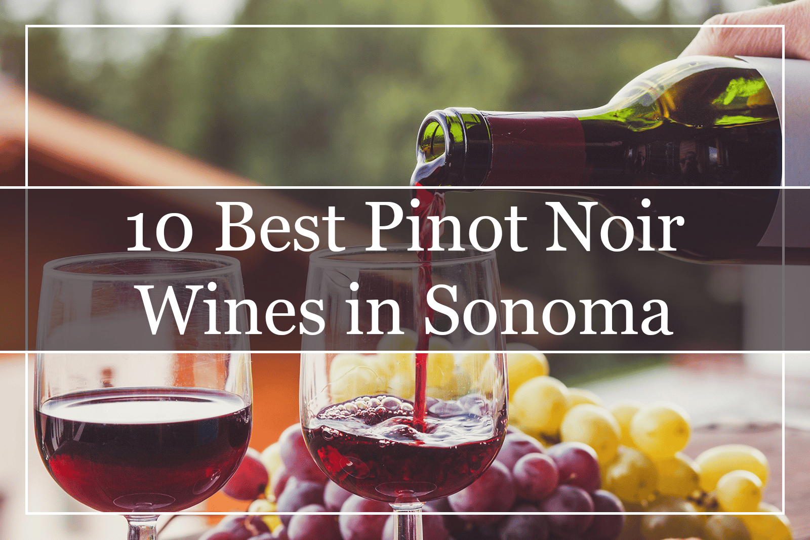 10 Best Pinot Noir Wines in Sonoma Featured
