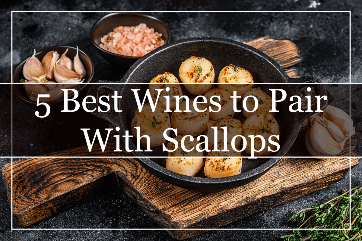 5 Best Wines to Pair With Scallops (2023) A Perfect Match
