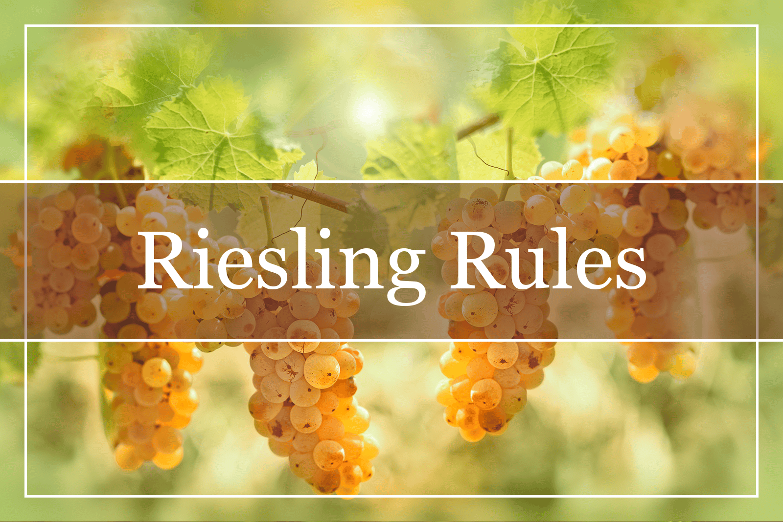 Riesling Rules!